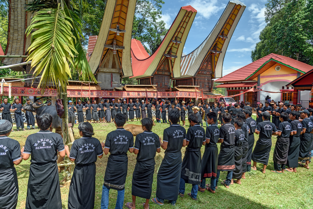 Tana Toraja. Jedna z wielu części artystycznych ceremonii pogrzebowej